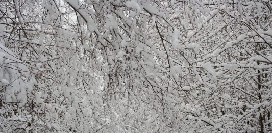 We scurried around as our first major snowfall was forecast