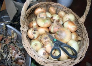 Today it’s snowing and blowing.