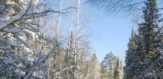 We knew it was coming