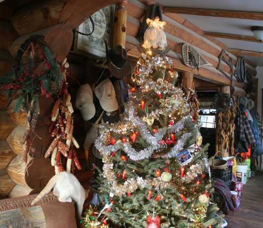 We finally got our Christmas tree up