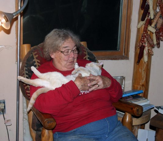 Holy cow, Omicron is spreading like wildfire