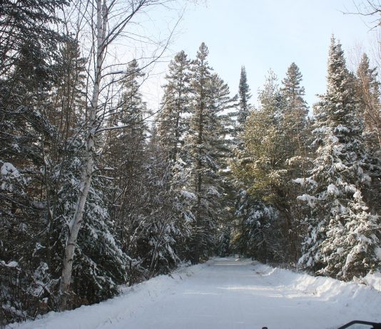 Yep, we got more snow