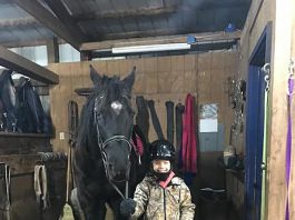 Getting back to normal