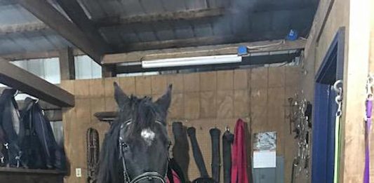 Getting back to normal