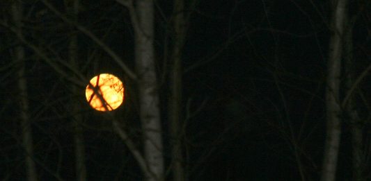 My dad had a so-true saying