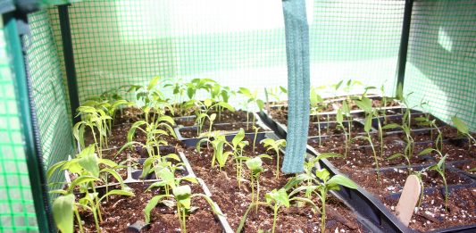 Our latest snow is helping fix last year’s drought