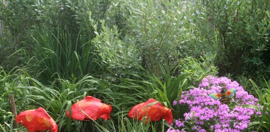 We had a quiet Fourth of July