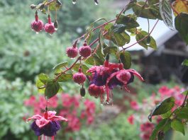 We are getting badly needed rain