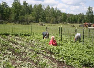 Having friends is a true blessing