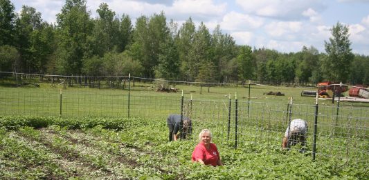 Having friends is a true blessing