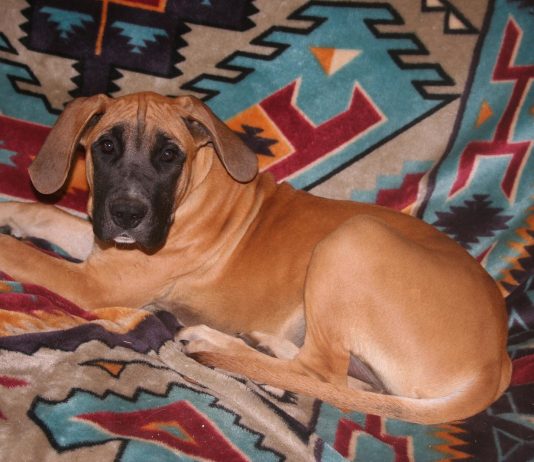 We have a new member in our family