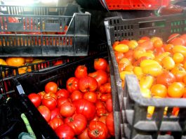 Sorry to be so late blogging!