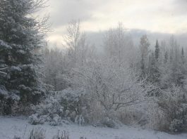 It feels like winter outside