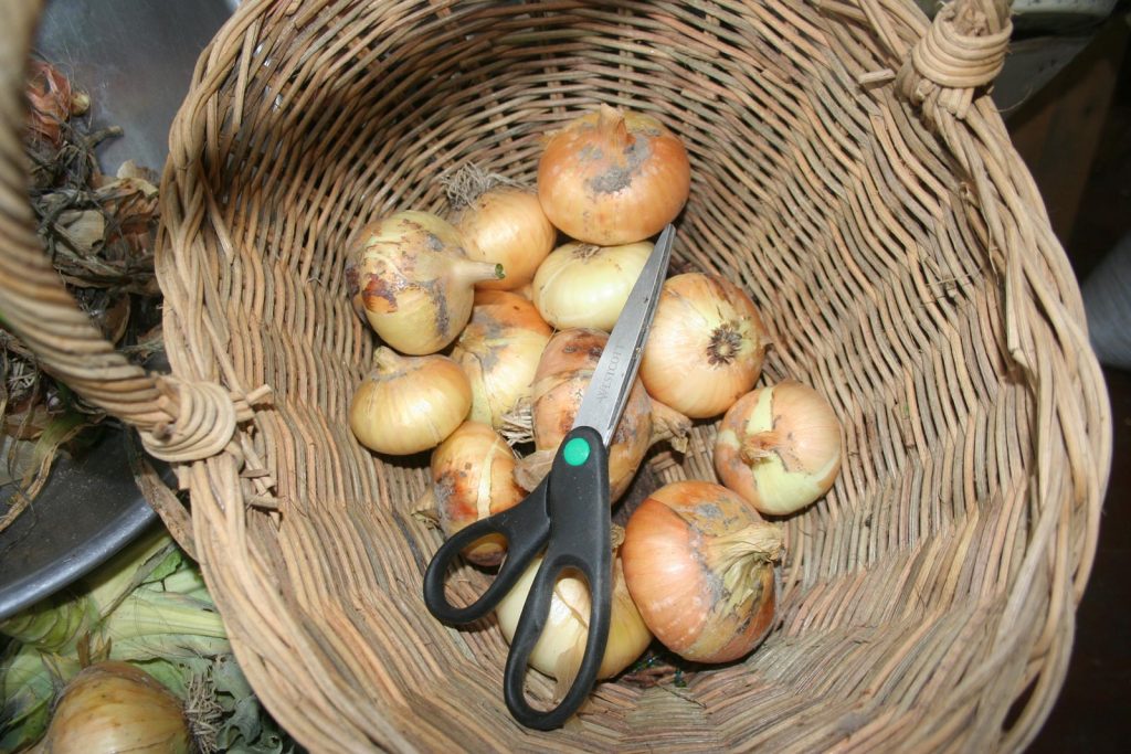 I’m a little slow, but recovering