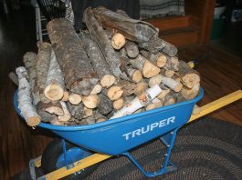 Our storm turned out to be a non-event