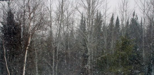 We’re preparing for a big snowstorm