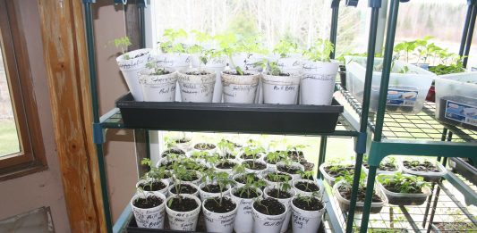 We had our belated Easter get together Sunday