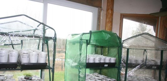 I’m still planting seeds