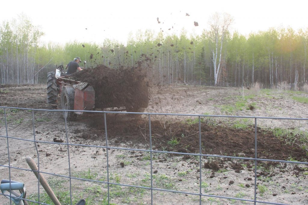 Our first asparagus just got canned