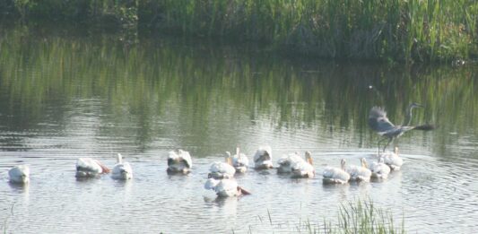 With our guest back home, we’re playing catch-up