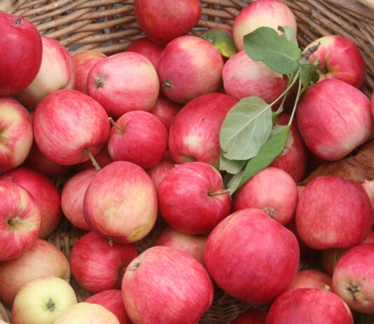 We just got a new homestead addition