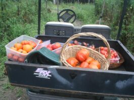 The weather station is posting the F word