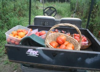 The weather station is posting the F word