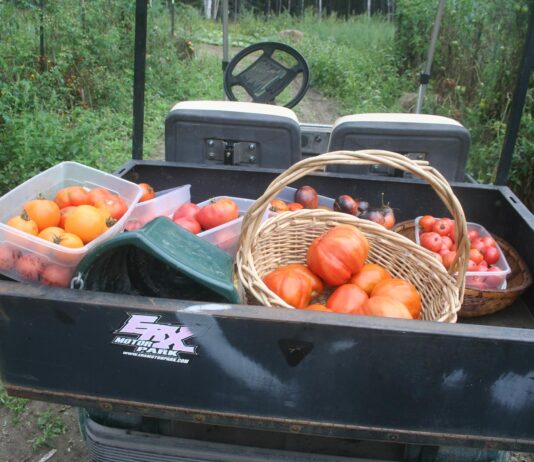 The weather station is posting the F word