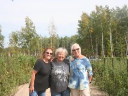 So far, I’ve got 15 freezer bags of beautiful cauliflower