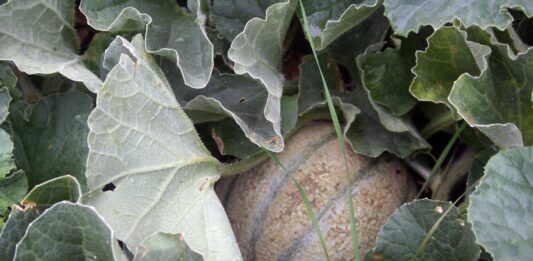 You ever have “one of those weeks?”