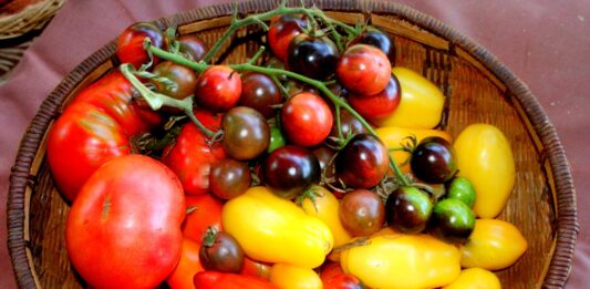 Holy cow are we rushing around lately!