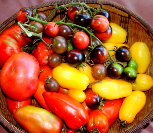 Holy cow are we rushing around lately!