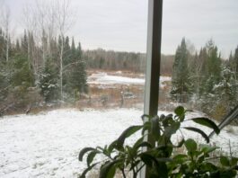 We were surprised to see a low of 5 degrees F on our weather station this morning