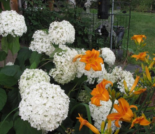 You know the old saying, roll with the punches?