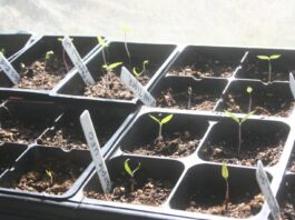 Whew, where did the week go?