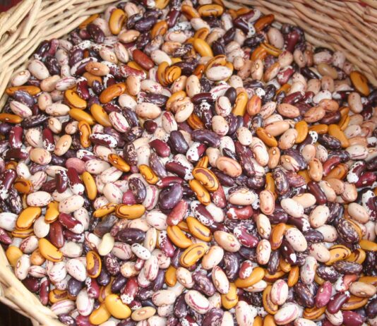 We had an excellent weekend