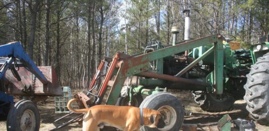 You know it’s spring when Will starts working on tractors