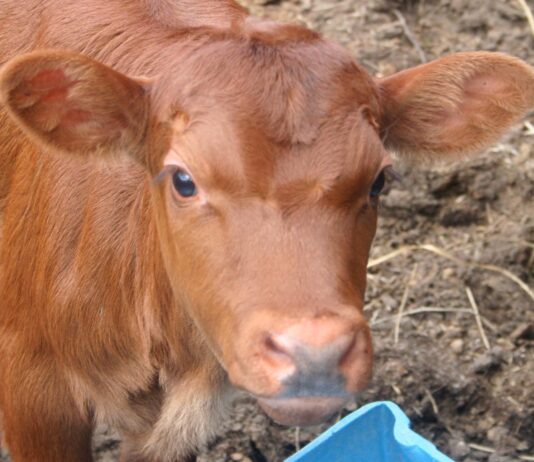 You know it’s spring when…