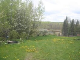 With rain in the forecast, we worked extra hard yesterday