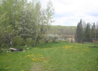 With rain in the forecast, we worked extra hard yesterday