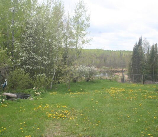 With rain in the forecast, we worked extra hard yesterday