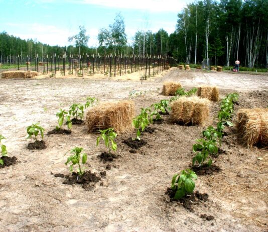 Finally, the rain has stopped … Temporarily