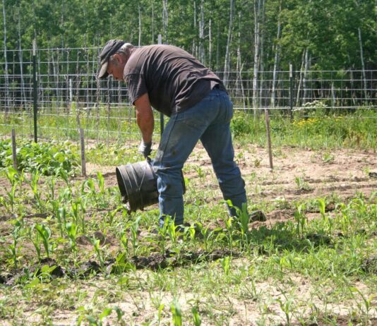 With less frequent rains and hot weather, we’re on the upswing