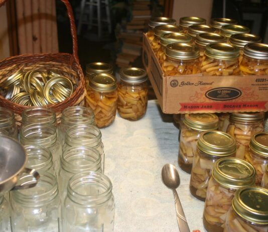 Harvest is chugging right along