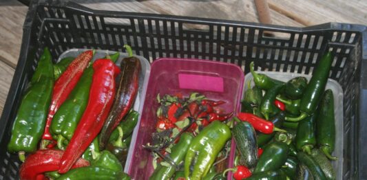 We had 30 degrees F for an hour