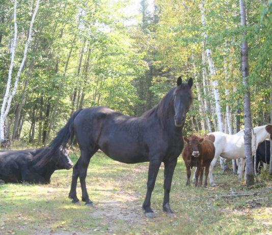 Beautiful, warm fall day