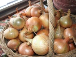 We’re enjoying our spell of sunny, warm weather