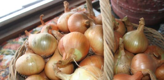 We’re enjoying our spell of sunny, warm weather