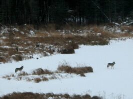 Finally! The sun is out