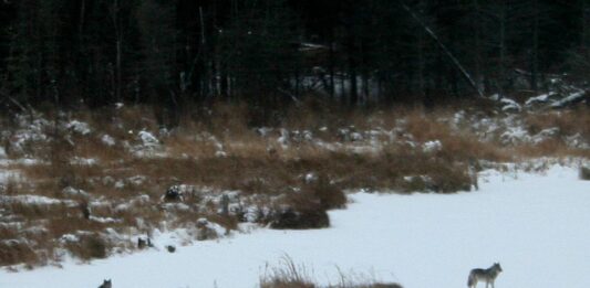 Finally! The sun is out